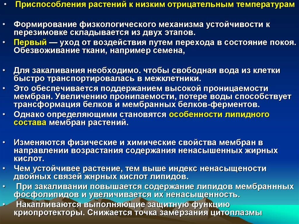 Приспособление растений к низким температурам. Приспособленность растений к низким температурам. Приспособление растений к пониженной температуре. Приспособленность растений к температуре.