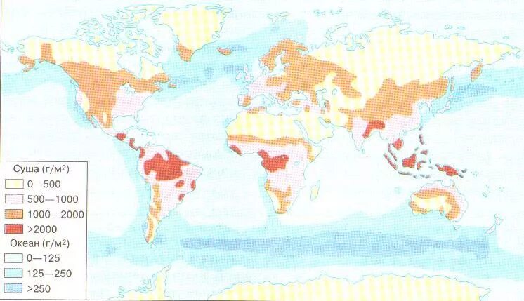 Зоны максимальной продуктивности мирового океана. Биологическая продуктивность карта. Биологическая продуктивность мирового океана. Биологическая продуктивность мирового океана. Распределение биомассы в мировом океане.