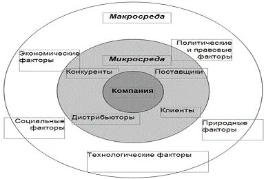 Социальное управление курсовая