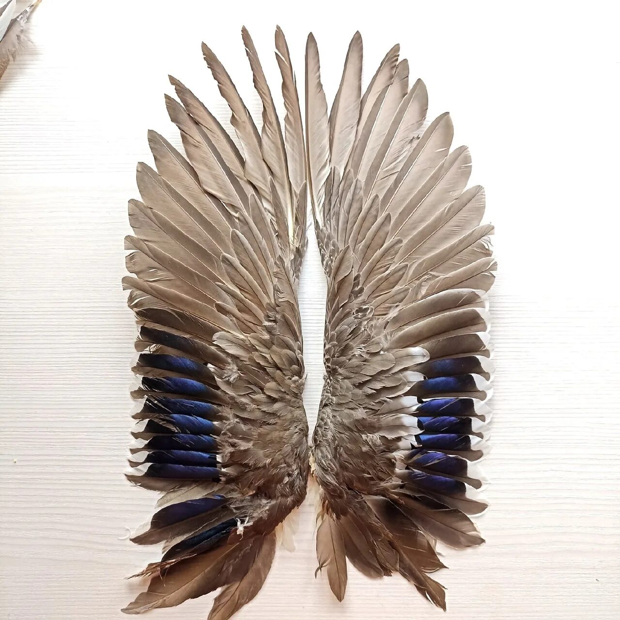 Крупные перья