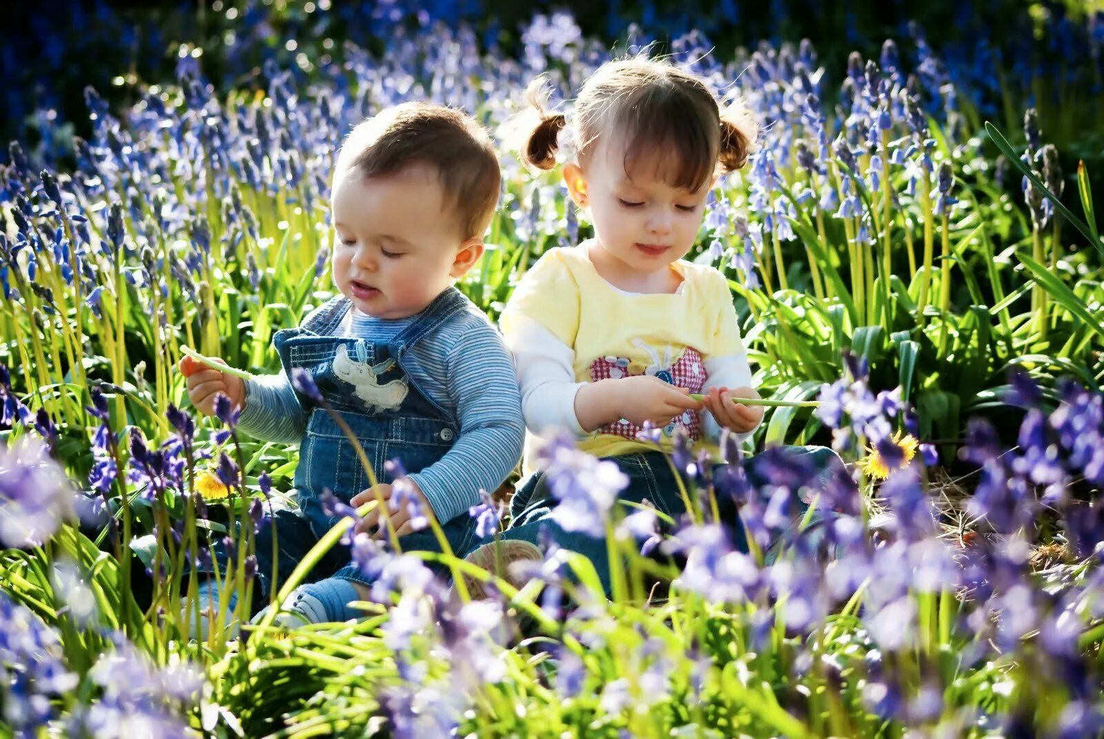 Дети пришедшие в мае. Дети с цветами. Цветы для детей. Дети весной.