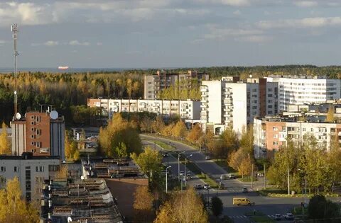 Бор какая область