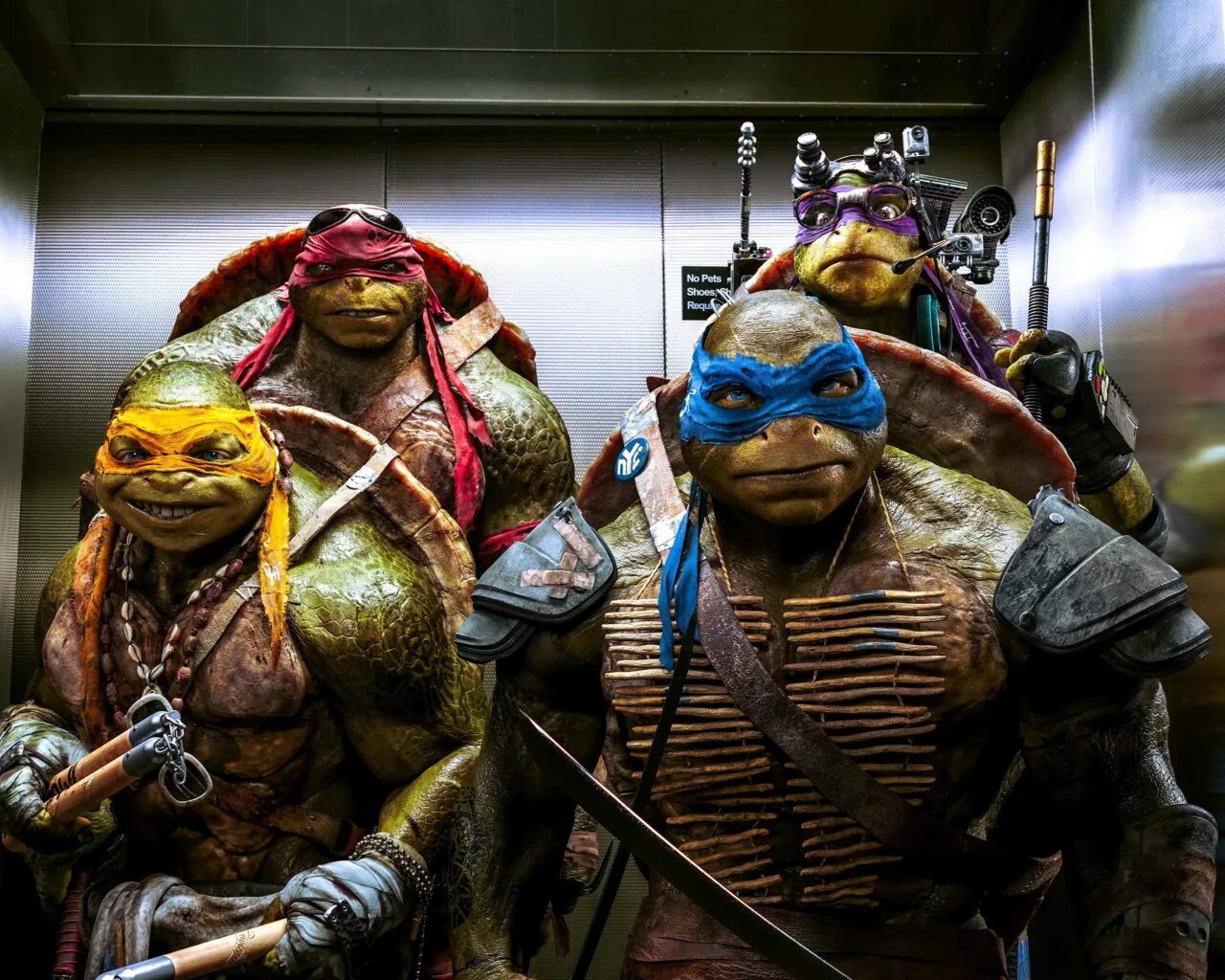 Turtles 2 in 1