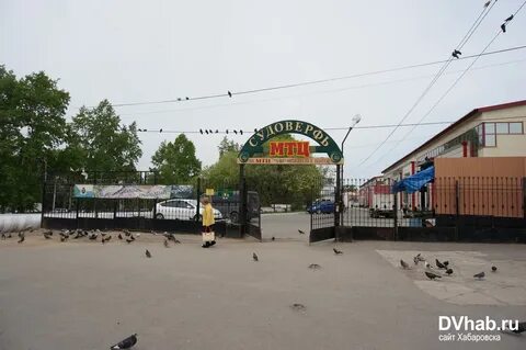 Базара хабаровск