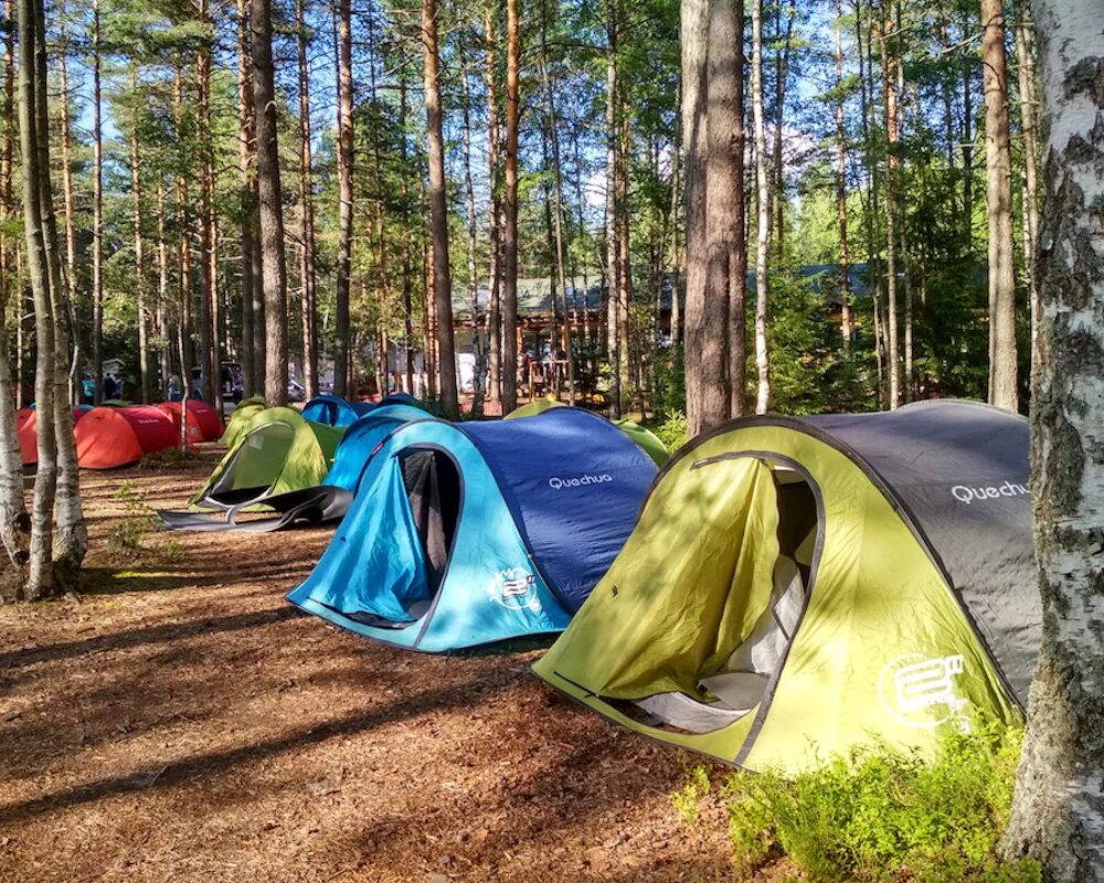 Camp company. Поход палаточный городок Карелия. Лагерь палаточный палаточный Казань. Сосновый Бор палаточный городок. Лагерь с палатками.