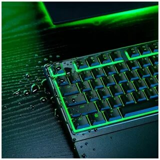 Ornata v3