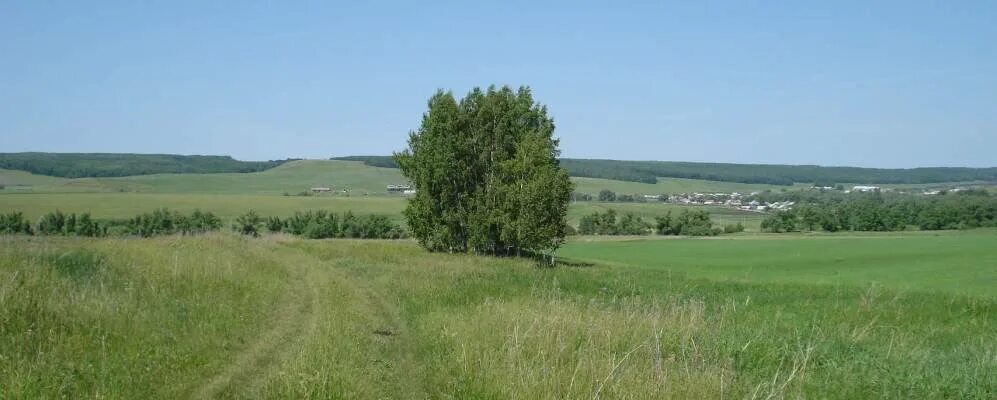 Бугурусланский сельсовет. Село поникла Бугурусланского района Оренбургской области. Село Нойкино Бугурусланского района Оренбургской области. Село Сапожкино Бугурусланский район. Природа Бугурусланского района.