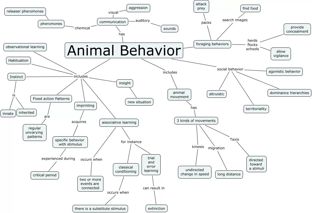 Animal behaviour. Animal behavior. behavior перевод. задания 6 кл английский язык тема animal behaviour. innate behavior.