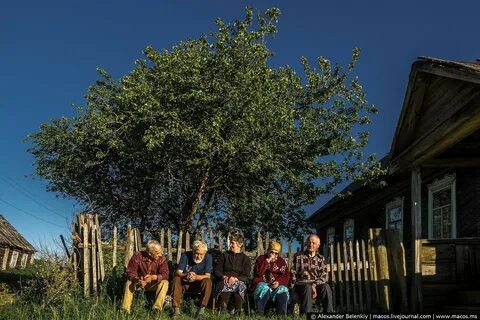 Сколько людей проживает в поселке