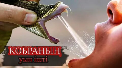 Мақай киши ингрид сағаты