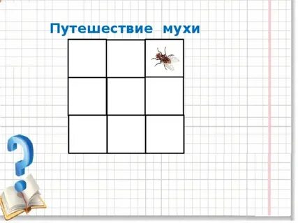 Муха слева