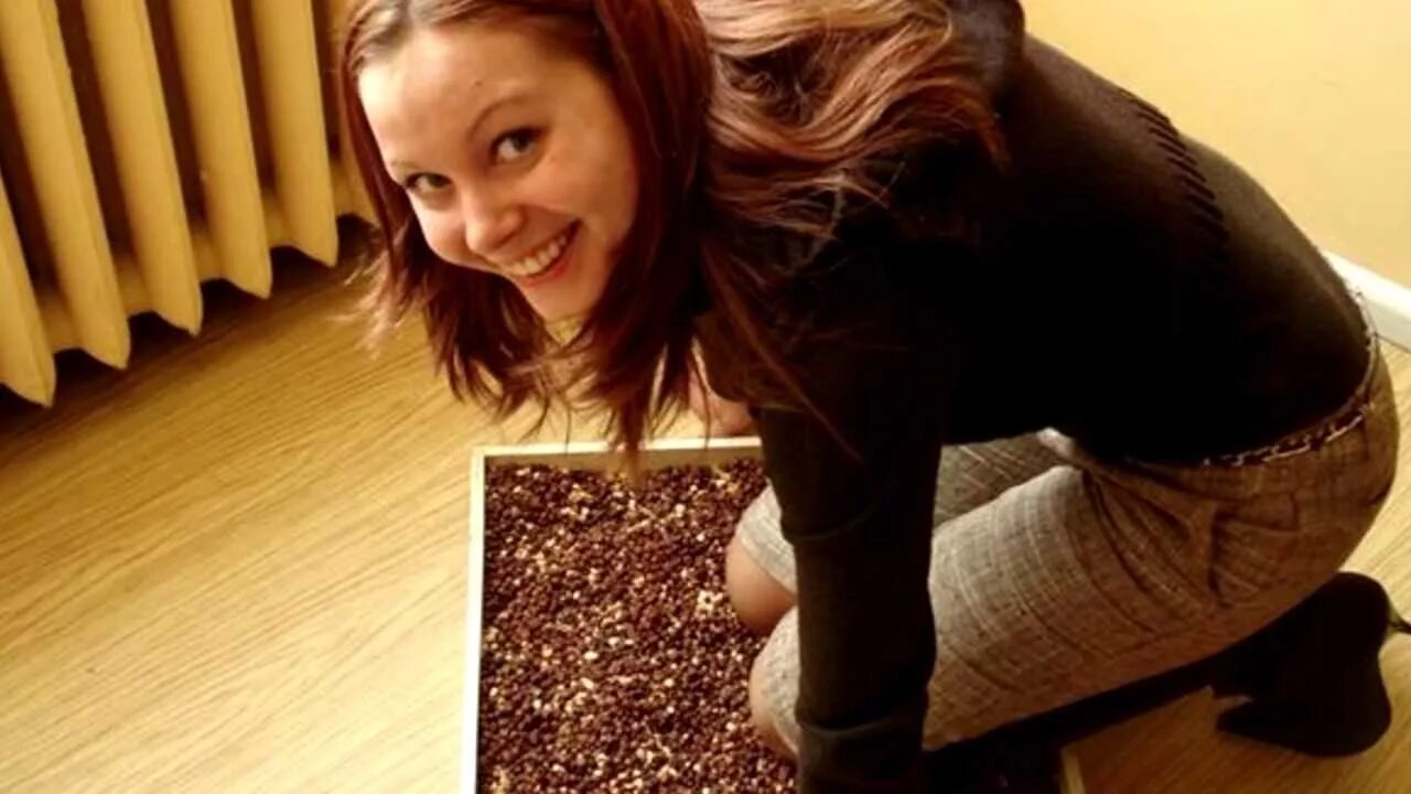 стоит коленями на горохе