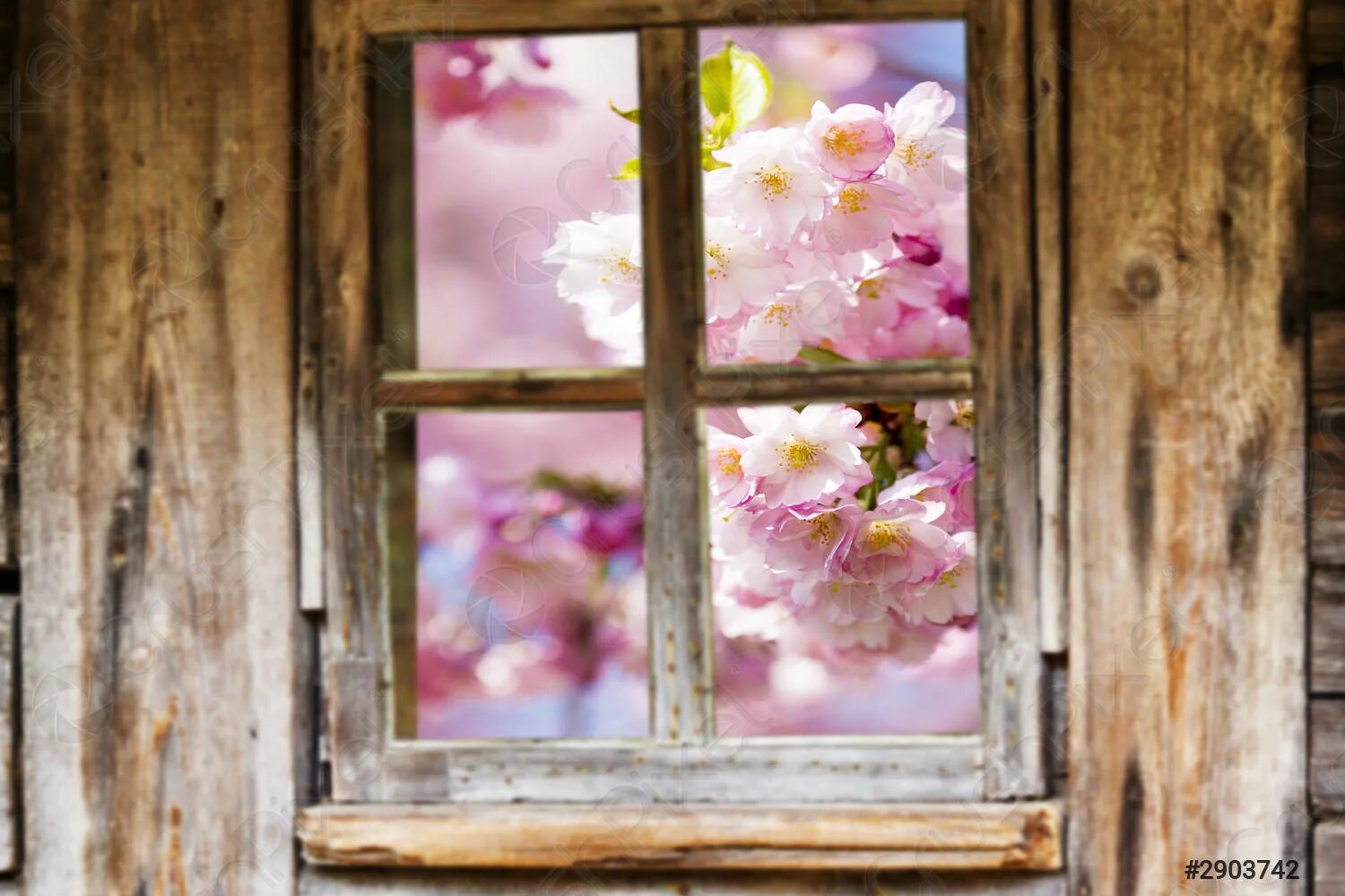 3 Steps for Gardening Your Way from What is to What You Want Wallpaper designs f