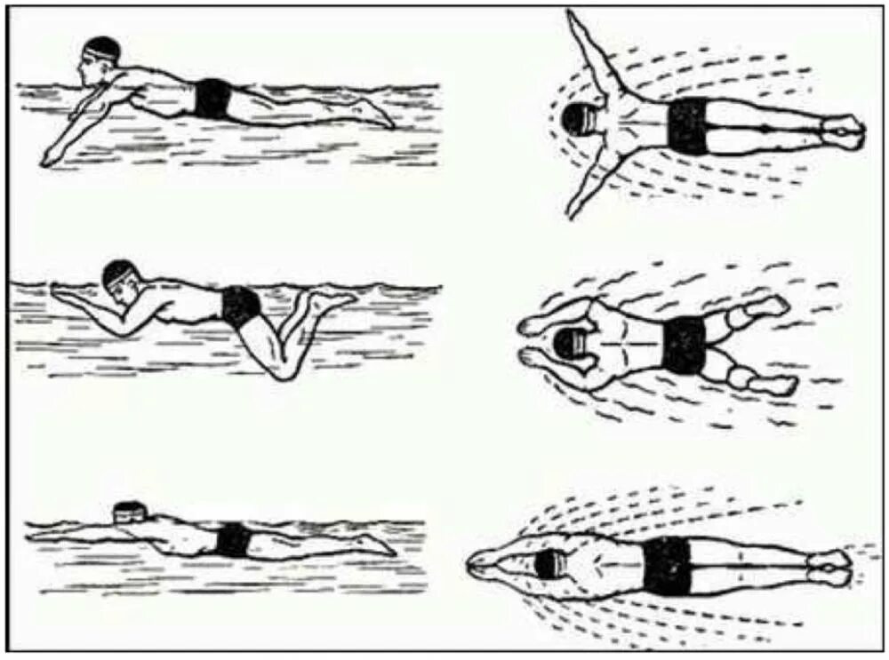 Упражнения научиться плавать. Кроль брасс Баттерфляй. Стиль плавания брасс техника. Плавание брасс Баттерфляй. Стиль плавания Кроль брасс.
