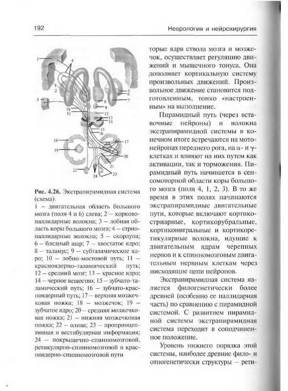 Гусев Коновалов неврология и нейрохирургия 1 том. Неврология учебник Гусев Коновалов. Учебники по неврологии и нейрохирургии. Нейрохирургия учебник Коновалов.