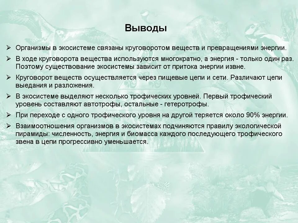 Вывод о последствиях изменений в экосистемах. Круговорот веществ и превращение энергии в экосистеме. Круговорот веществ и энергии в экосистемах. Трансформация энергии в экосистеме. Прекращение энергии в экосистеме.