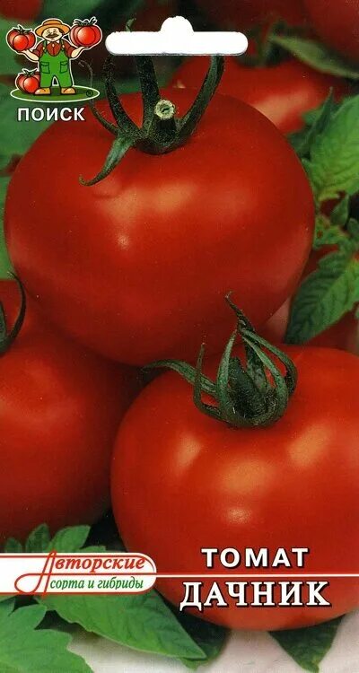 томат "женская грудь" (10 семян). томат топспорт f1 селекция нидерланды. сорт помидор дачник. семена томатов дачник. семена томатов дачник.