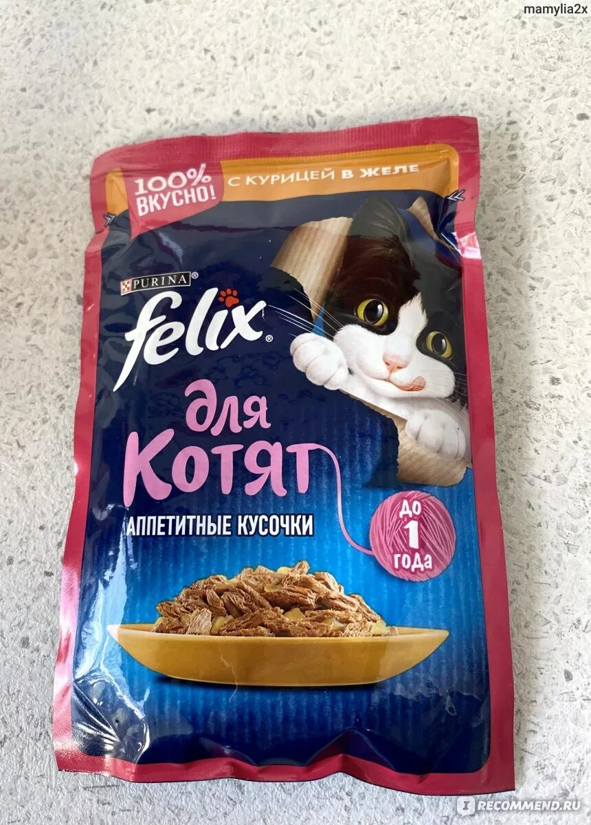 Корм felix для котят. Felix для котят.