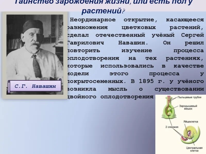 Навашин вклад в биологию 6 класс. Цитолог Навашин. Биография навашина