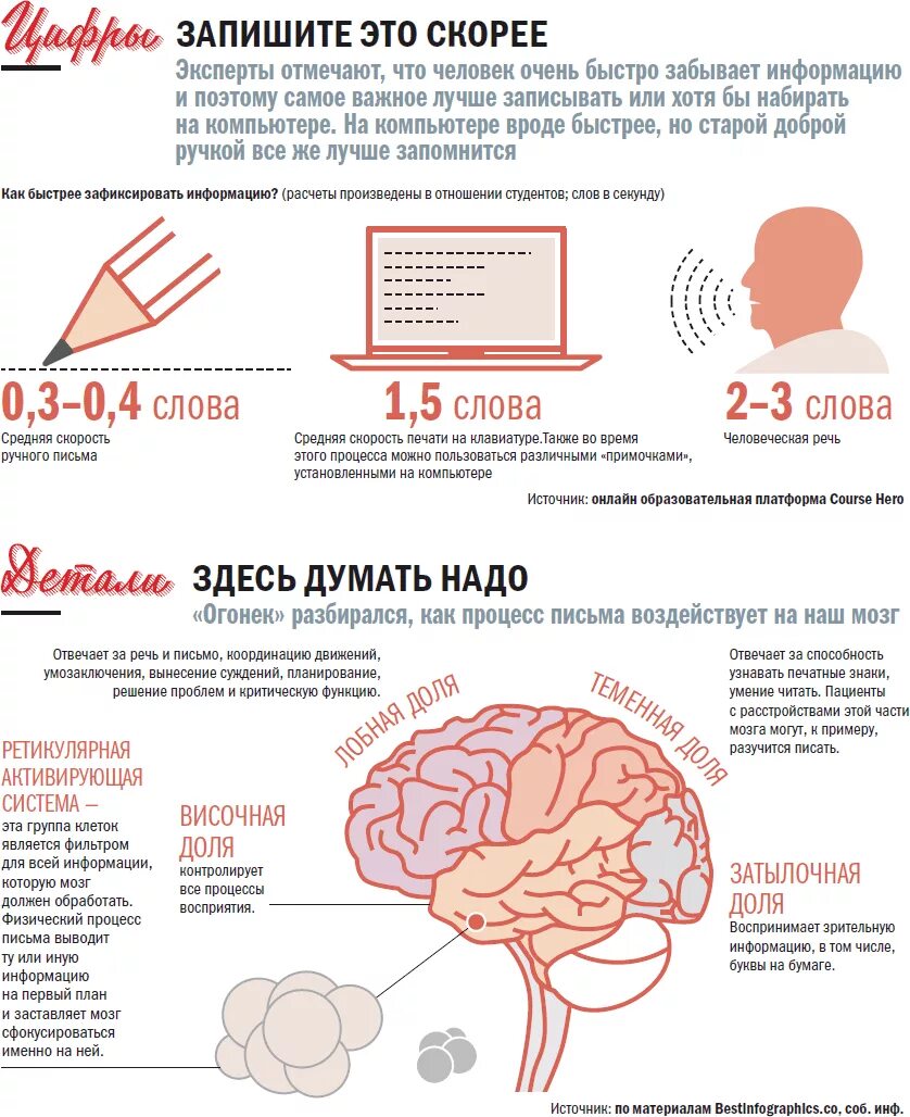 Развитие мозга как читать быстрее. Мозг и письмо. связь мозга и письма. как письмо влияет на мозг. ручное письмо развивает мозг.