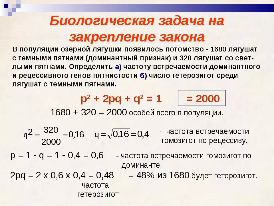 Задачи по закону Харди-Вайнберга с решением. Задачи на закон Харди Вайнберга. Задачи на популяционную генетику. Популяционная генетика задачи. Частота встречаемости генов в популяции