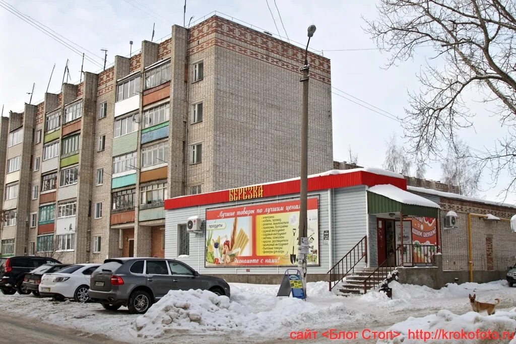 улица молодежная 10. щекино ул мира 10. волхов молодежная 10. тц молодежный щекино. щекино ул молодежная.