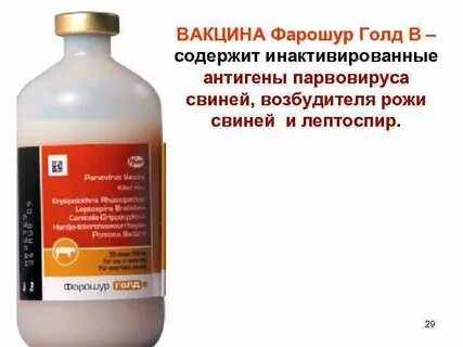 Вакцина классической чумы свиней инструкция