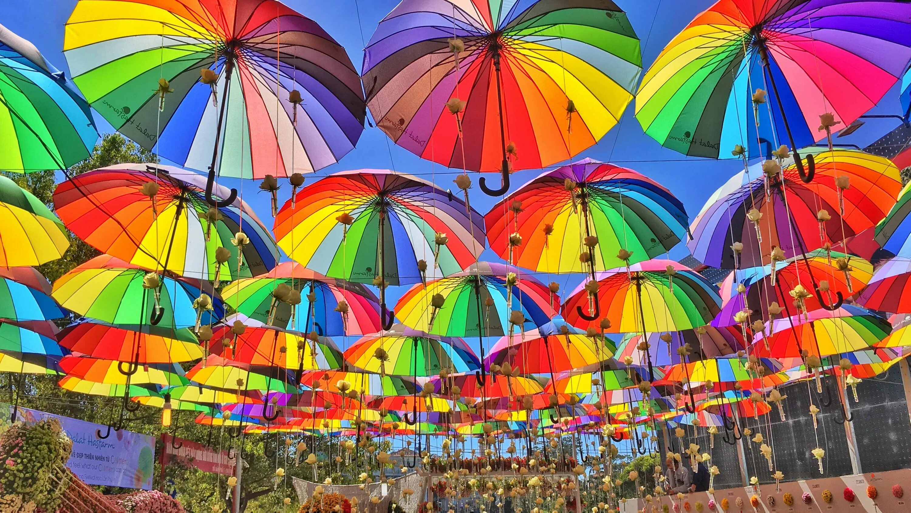 Разноцветные зонтики. Зонтики яркие. День разноцветных зонтов. Разноцветный зонт. Яркий зонтик