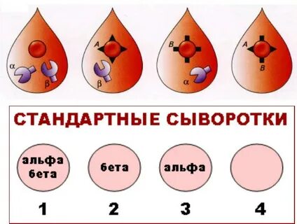 Альфа антитела