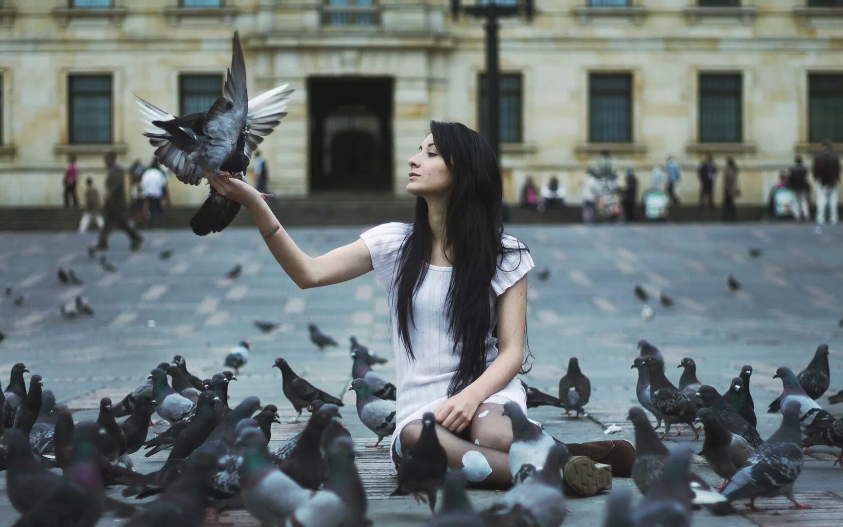 Девушка с голубем. Фотосессия с голубями. Человек голубь. Человек птица.