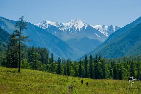 Горно алтайские горы