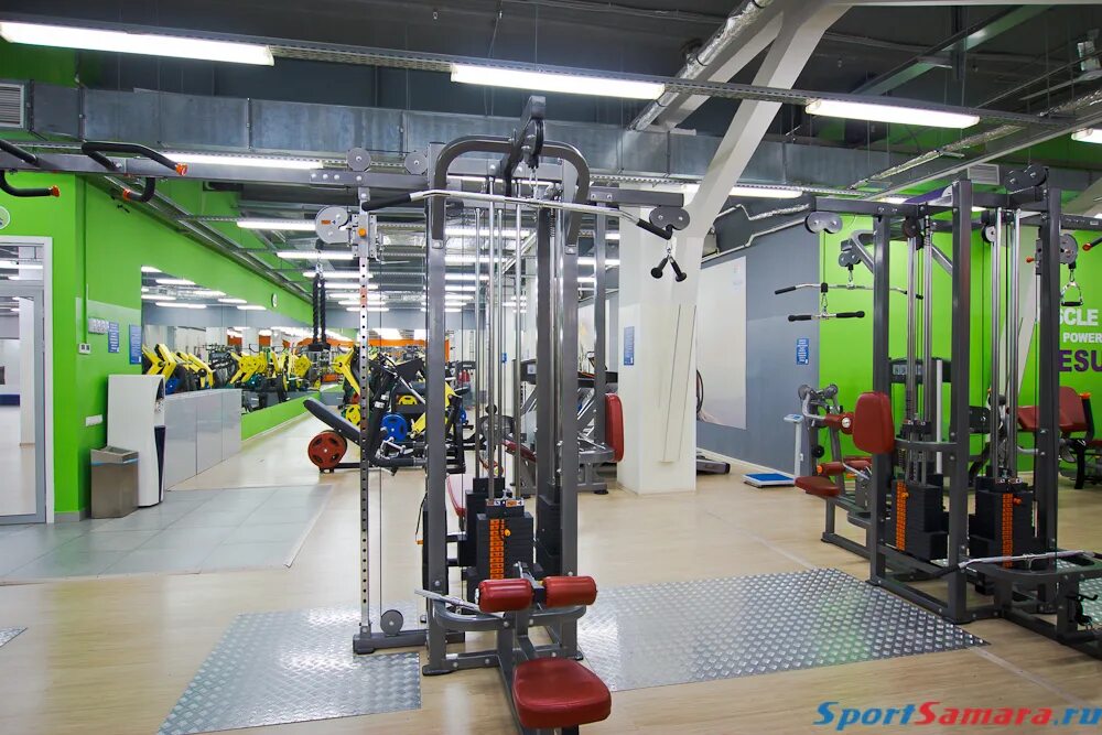 Алекс фитнес адреса. Алекс фитнес воронеж 45 стрелковой дивизии. alex fitness ясенево. алекс фитнес бирюлево липецкая.