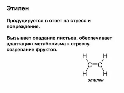 Выделяется этилен
