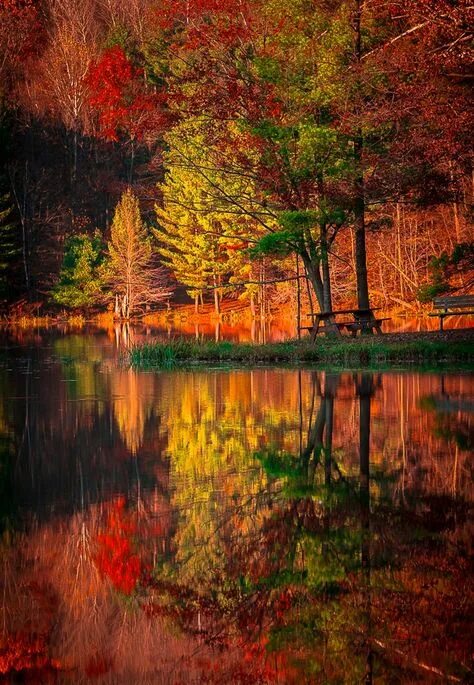 original photography Colorful trees, Scenery, Landscape