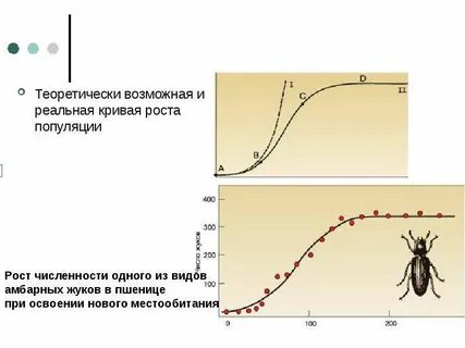 Жизненный цикл популяций
