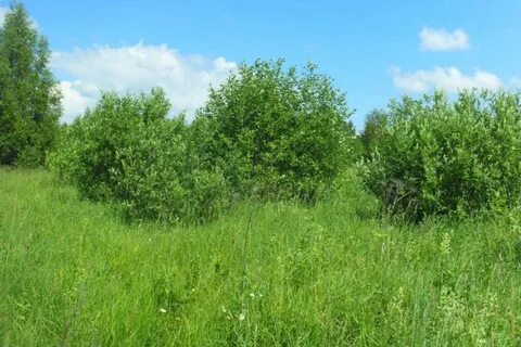 Продам участок тверская область