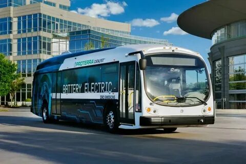 Buses but