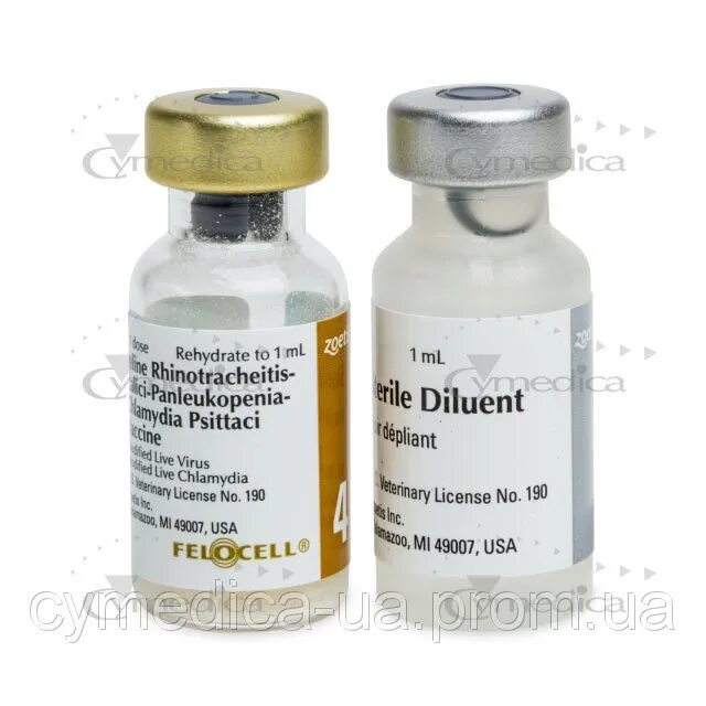 Фелоцел cvr. Фелоцел вакцина для кошек. фелоцел cvr, вакцина для кошек. фелоцел бешенство.