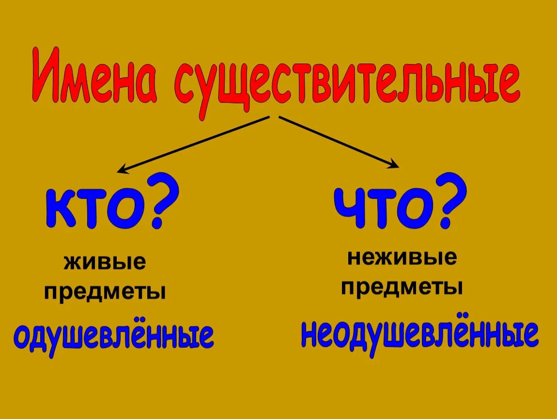 Одушевленные и неодушевленные существительные. Одушевлённые имена существительные. Одушевленные и неодушевленные имена существительные 2 класс. Одушевленая и не одушевленные имена существительные. Собственное одушевленное существительное примеры