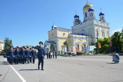 Прошли елец