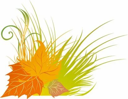 Осенние картинки на прозрачном фоне для детей