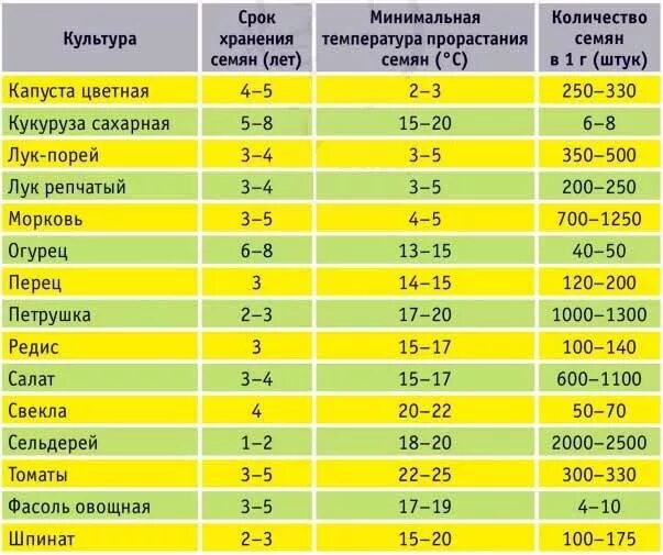 Срок всхожести семян таблица. Оптимальная температура для прорастания семян. Сроки прорастания семян овощных культур. Сроки прорастания семян таблица овощей. Минимальная температура прорастания семян.