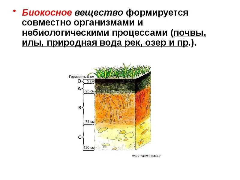 Почва какое вещество биосферы. Биокосные вещества биосферы. Юилеосное вещество. Биокосное вещество биосферы. Почва биокосное вещество.