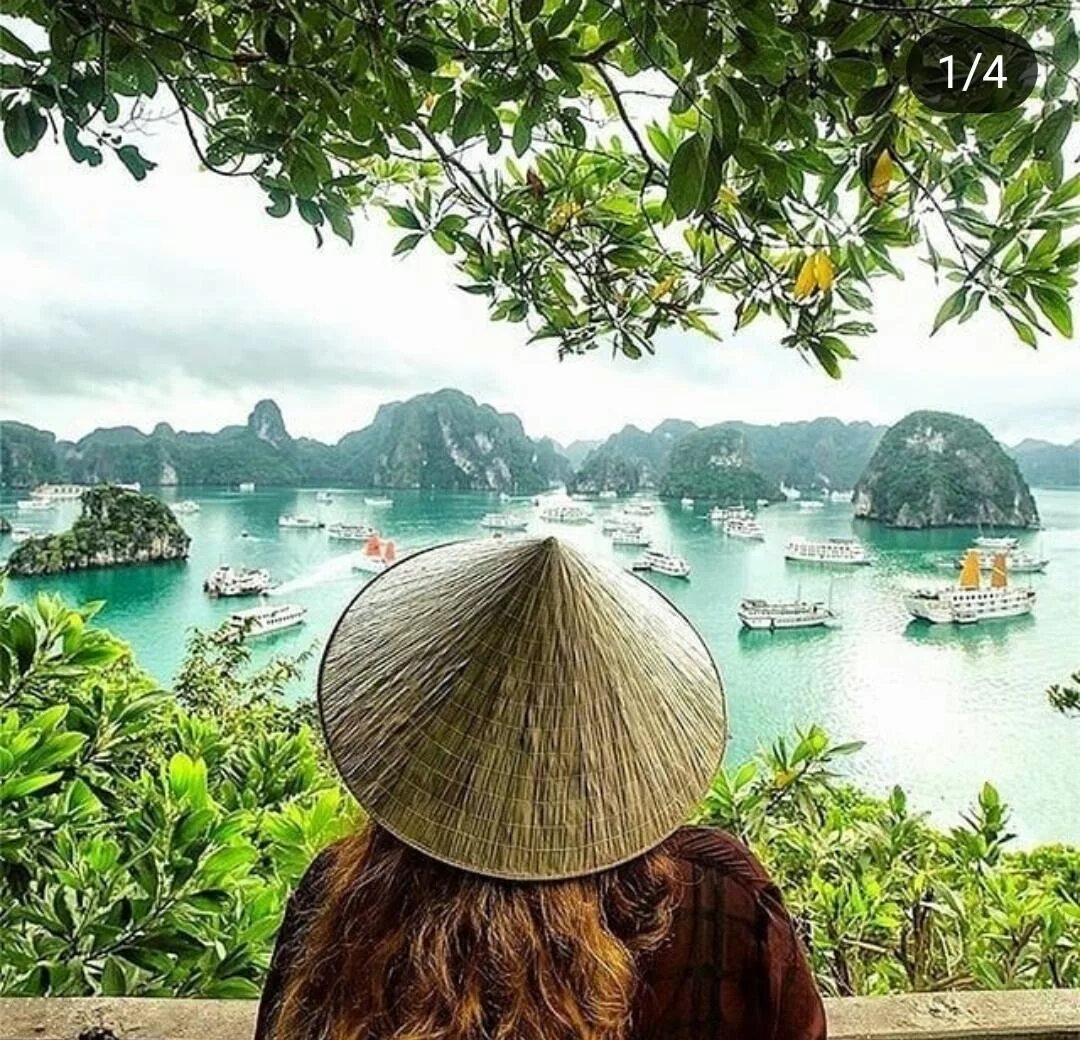 Йенвьен(вьетнам) пинсян. Халонг бей. Вьетнам фото туристов. Фукуок вьетнам. Вьетнам фото.