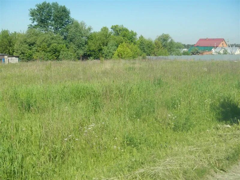 федюково подольский район. церковь андрея первозванного в с. деревня федюково подольский район. д федюково подольского района. московская область подольский район деревня федюково.