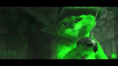Грустная песня кота