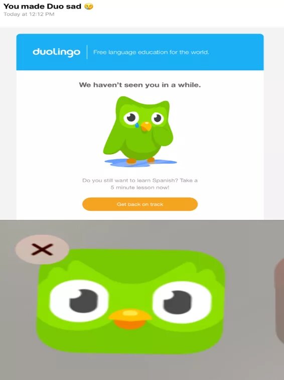 Почему дуолинго грустный. Мягкая игрушка Duolingo. Дуолинго персонажи. Duolingo уведомления. Дуолинго мемы.