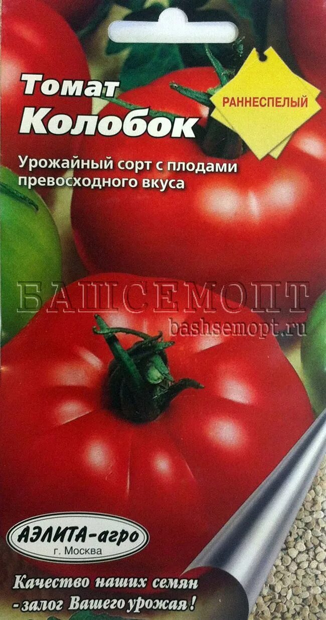 Томат колобок как выглядит. Томат колобок поиск. Томат колобок поиск. Томат руно. Томат мадейра.