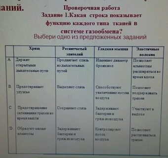 Каждого типа материала есть