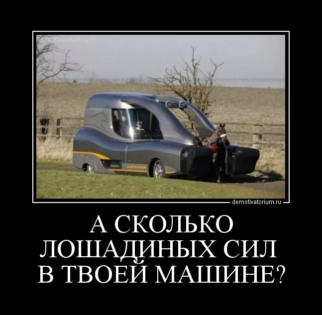 Что такое л с а в. Что такое лошадиная сила в автомобиле. сколько лошадей в машине. сто лошадиных сил. лошадиная сила прикол.